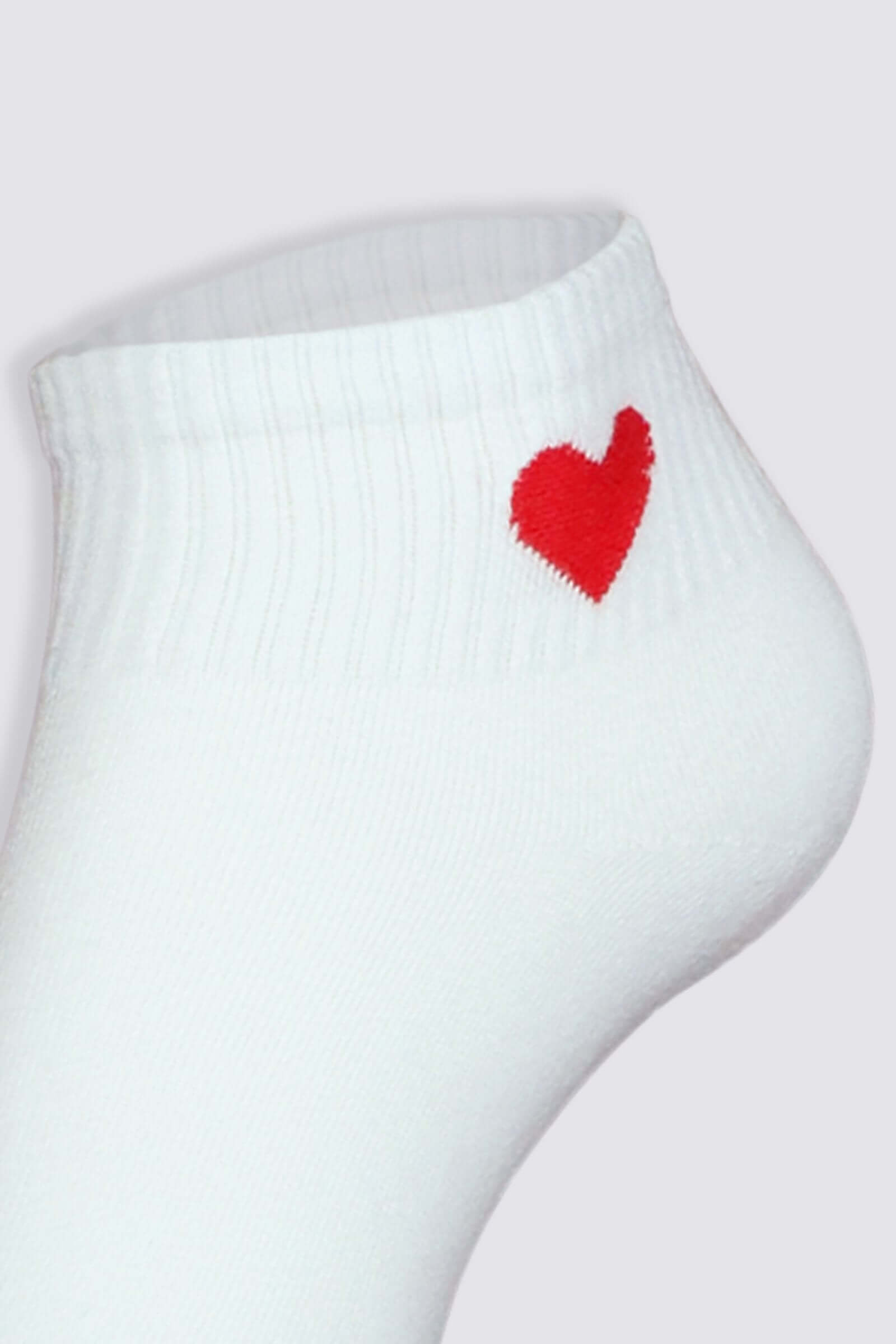 Medias de mujer cómodas y modernas para todos los estilos.