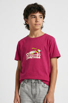 Vinotinto